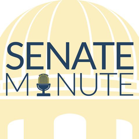 Episode 42: Halftime at the Senate (2019 Session)