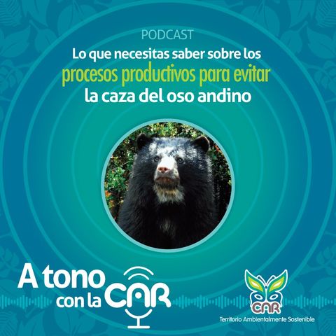 Procesos productivos para evitar la caza del oso andino