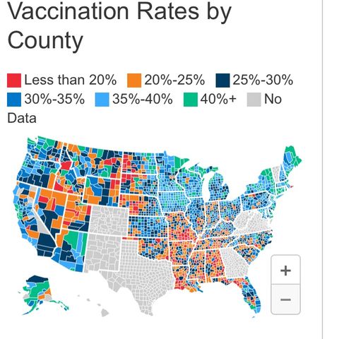 Vaccines and Voting/Marcus Muhd