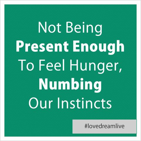 Not Being Present Enough To Feel Hunger, Numbing Our Instincts