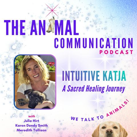 Intuitive Katja