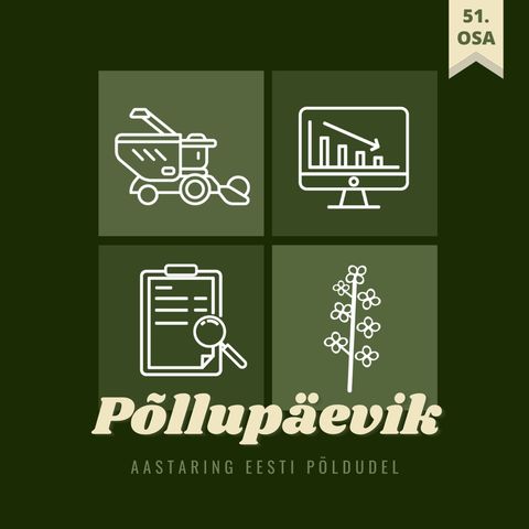 Põllupäevik 51 | 2024. Viljakaubanduse eri: esimesed saaginumbrid