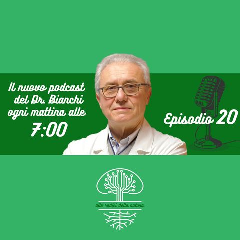 La Dieta influenza la grandezza e lo sviluppo del nostro Cervello?