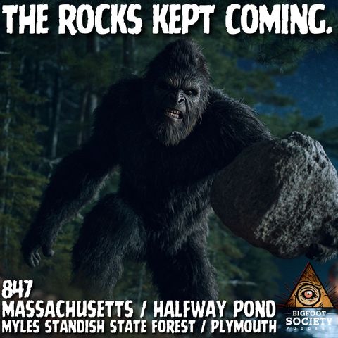 The Woods War | Massachusetts
