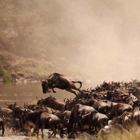 Luxury East Africa Tour Takes You On a Memorable Journey to the Most Visited African Countries!