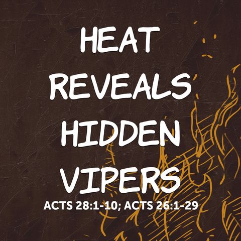 2024_1103 Heat Reveals Hidden Vipers