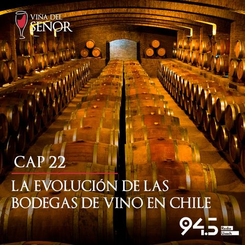 La evolución de las bodegas de vino en Chile