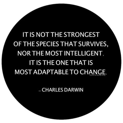 Recipe for Success- Adaptability