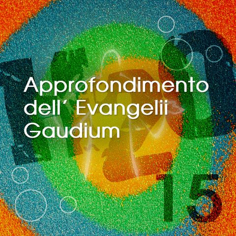 15. Approfondimento dell'Esortazione Apostolica Evangelii Gaudium