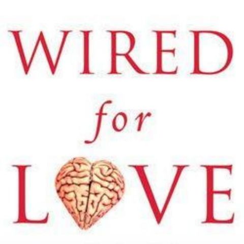 Cracking the Code of Connection: Wired for Love