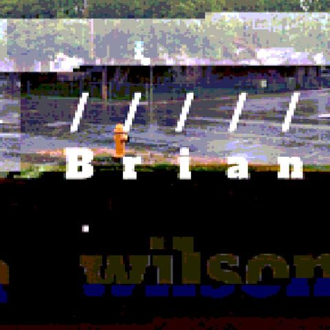 Brian Wilson By BNL
