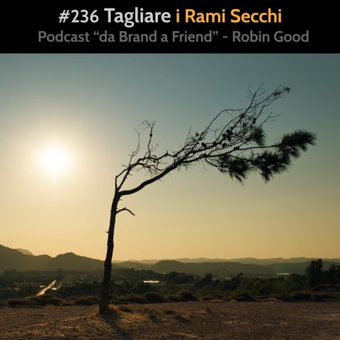 #236 - Tagliare i Rami Secchi