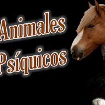 Poderes psíquicos en los animales