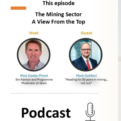 The Mining Sector - A View from The Top