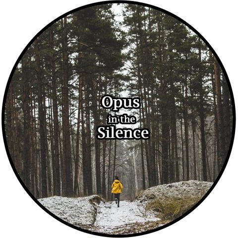 Opus in the Silence 8D-Audio by Nanni dj
