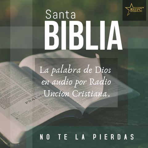 La Santa Biblia Audio