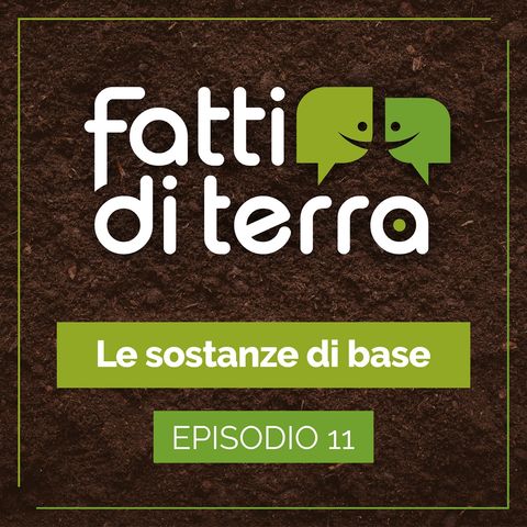 Le sostanze di base