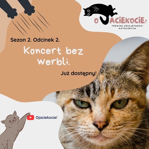 S2E2 - Koncert bez werbli.