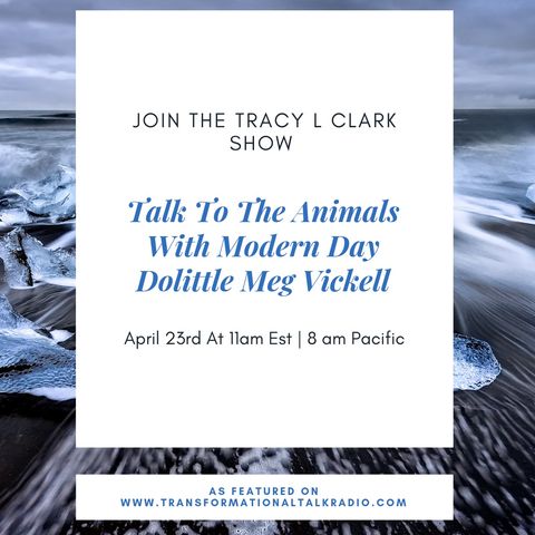 The Tracy L Clark Show: Live Your Extraordinary Life Radio: Talk To The Animals