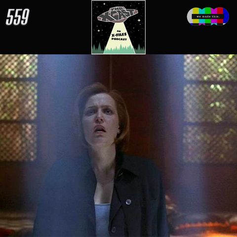 562. The X-Files 7x17: allthings
