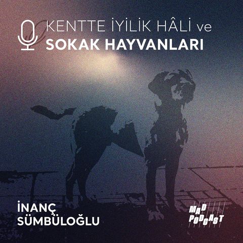 Kentte İyilik Hâli ve SOKAK HAYVANLARI / İnanç Sümbüloğlu