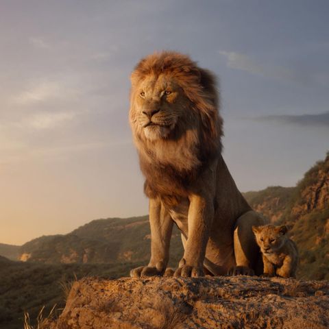 Lion King - 2019-07-18