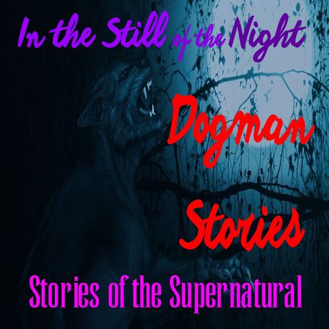 In the Still of the Night | Dogman Stories | Podcast