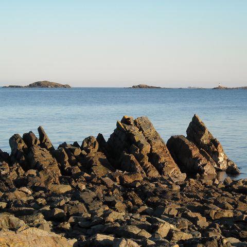 Seaside Ramble
