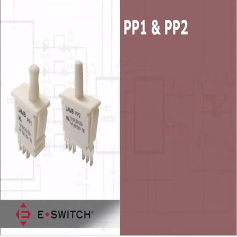 E Switch PP1 Series