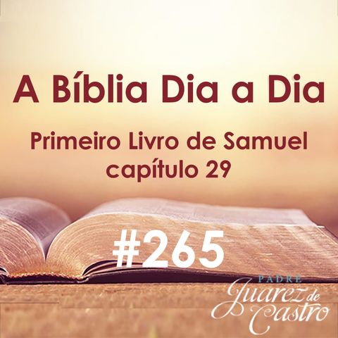 Curso Bíblico 265 - Primeiro Livro de Samuel 29 - Davi expulso do exército filisteu - Padre Juarez de Castro