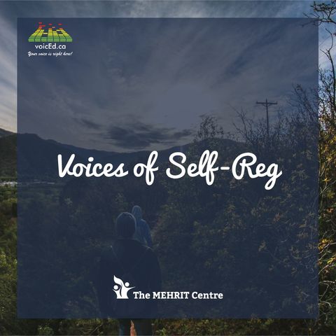 Voices of Self-Reg with the MEHRIT Centre Community-When Tensions Run High