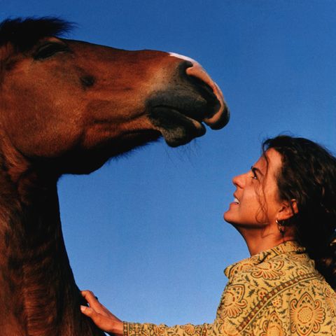 S2E7. Lene Rishede Hansen: På hest fra Mongoliet til Danmark