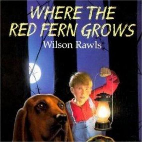 A Heartwarming Tale: Where the Red Fern Grows