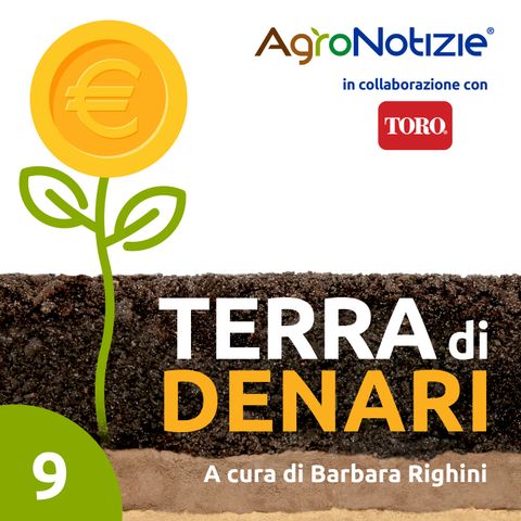 Il Valore Nascosto