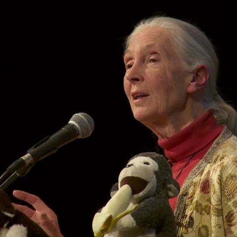 Jane Goodall – Sowing the seeds of hope