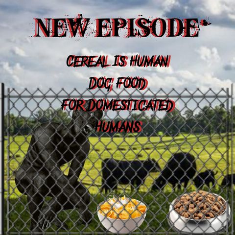 Cereal Is Human Dog Food For Domesticated Humans