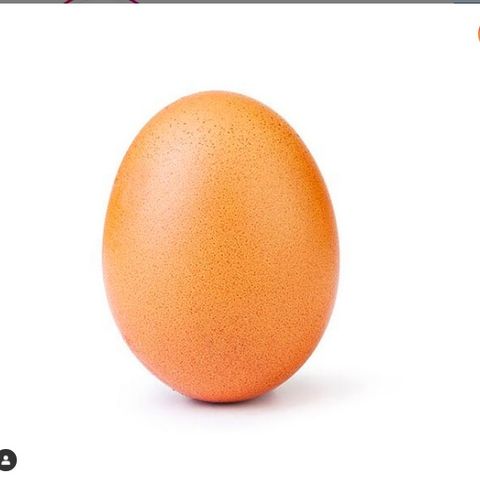 1102 L'uovo di instagram vale 250000 dollari a post