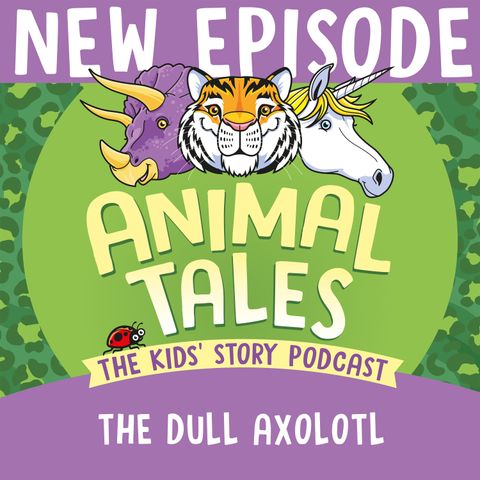 The Dull Axolotl