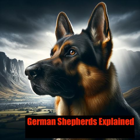 5 German Shepherd Heroes Who Lived To Tell About It
