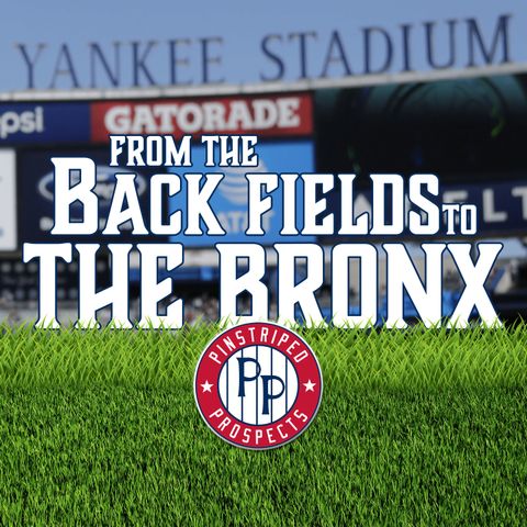 From The Back Fields To The Bronx: 2021 MLB Draft Recap