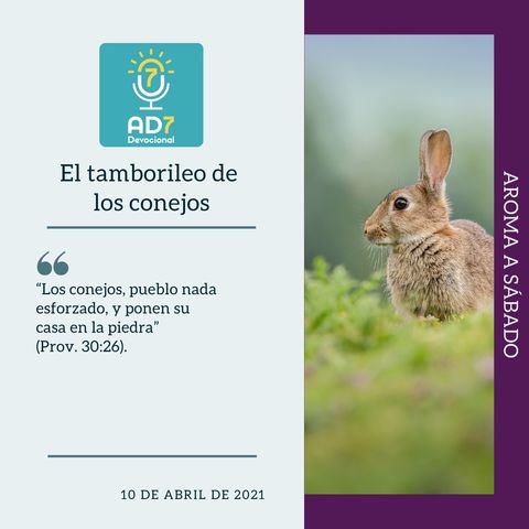 10 de abril - El tamborileo de los conejos - Devocional de Jóvenes - Etiquetas Para Reflexionar