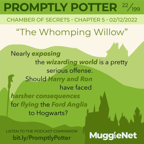Episode 22: Let's Pretend It Wasn't Harry Potter