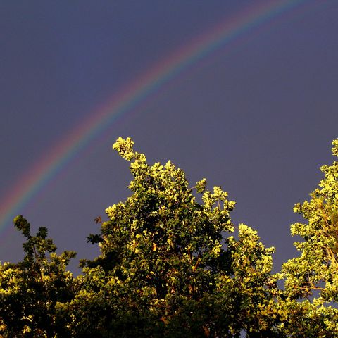 Across the Spectrum
