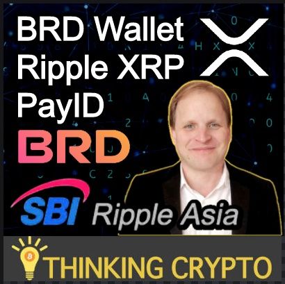 Ripple XRP & ODL Adoption & PayID - CEO of BRD Wallet & SBI Ripple Asia Adam Traidman Interview