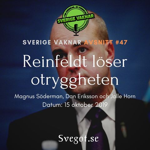 47. Reinfeldt löser otryggheten