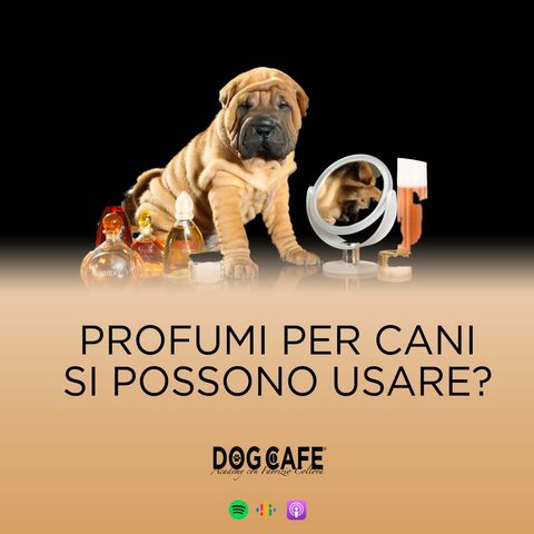 116 - Profumi per cani: si possono usare?