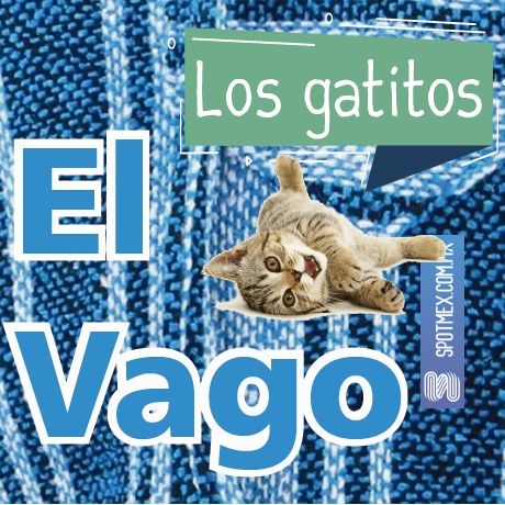 El Vago #4 - Los gatitos
