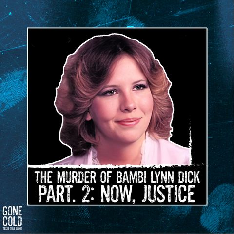 Bambi Lynn Dick Part 2: Now, Justice