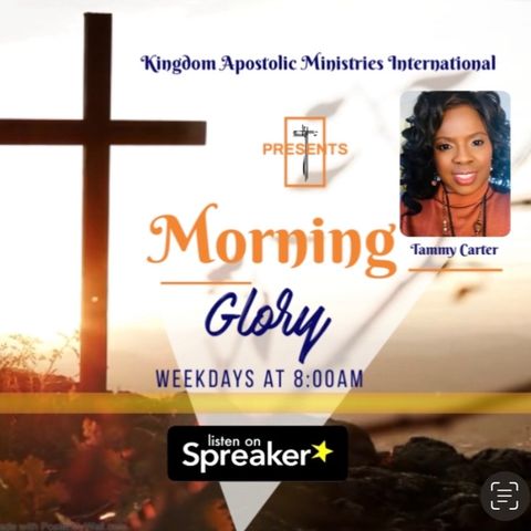Morning Glory