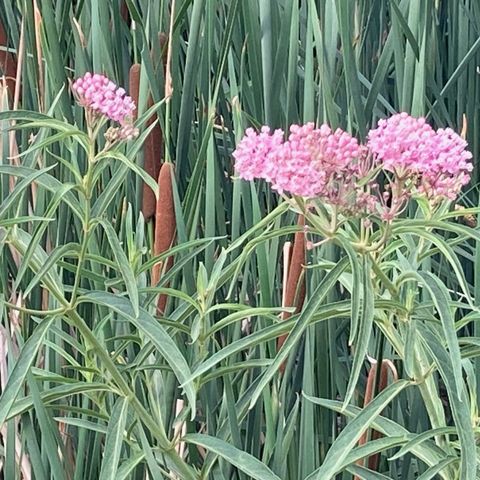 Treasuring the Gentle Patterns of Our Lives